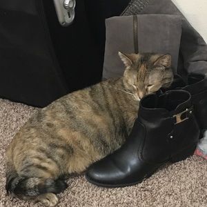 Meet your Posher, Sharlene